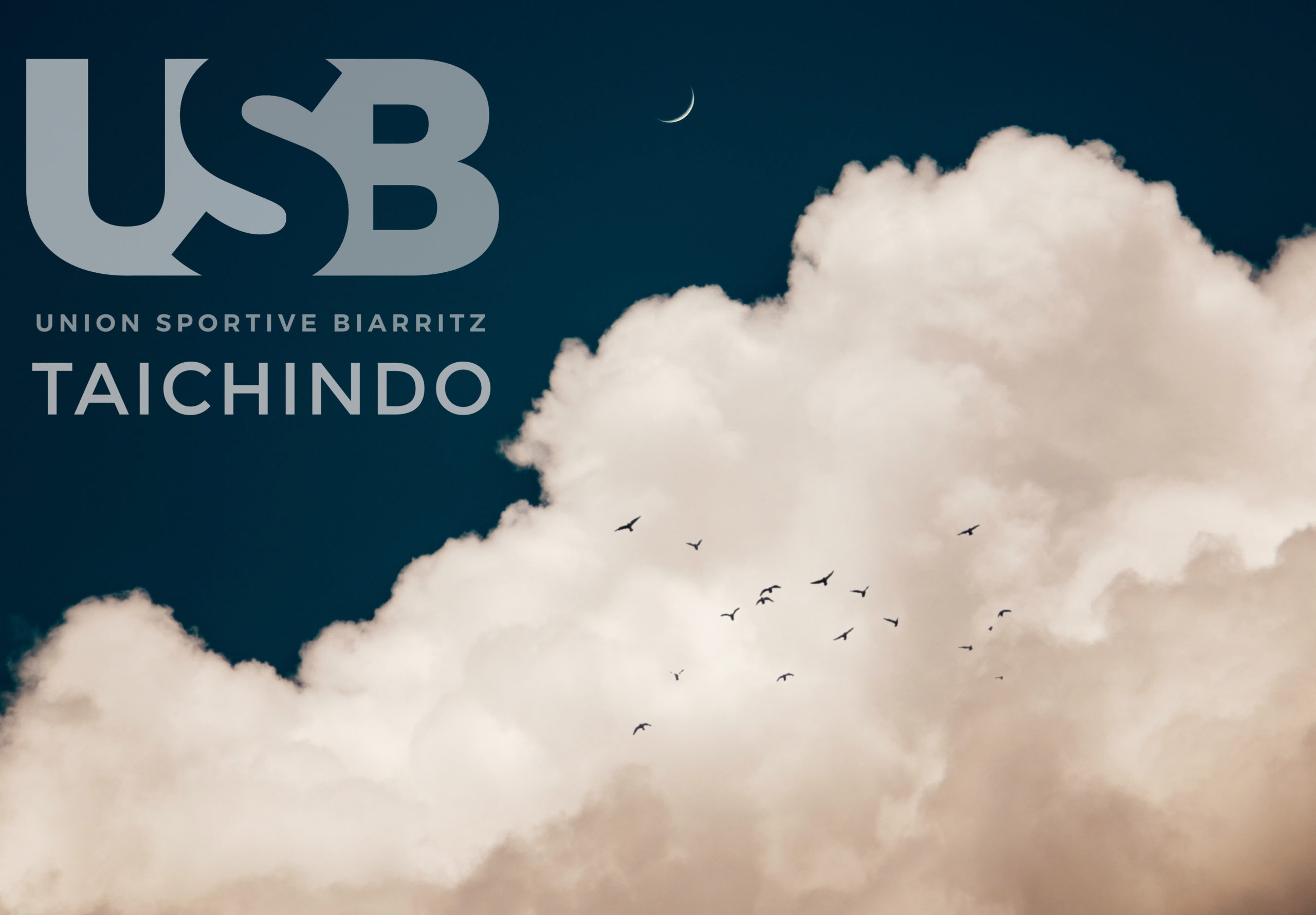 TAICHINDO USB Biarritz