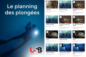Planning des plongées